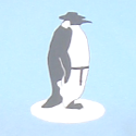 Hasidic Penguin